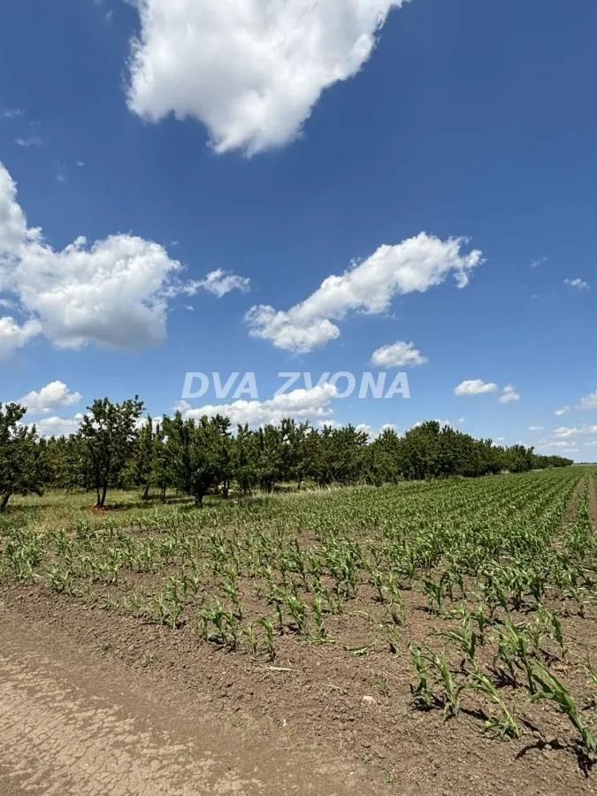 Prodaja, plac, 28700m², Novi Slankamen, Inđija