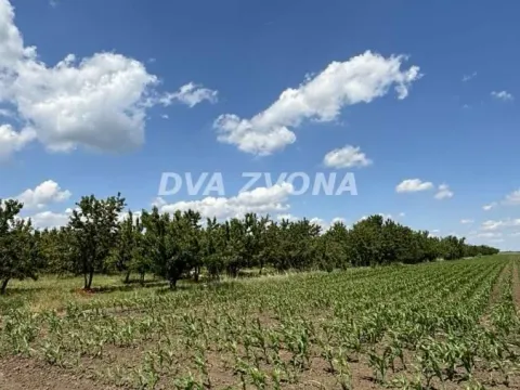 Prodaja, plac, 287m², Novi Slankamen, Inđija - image 12