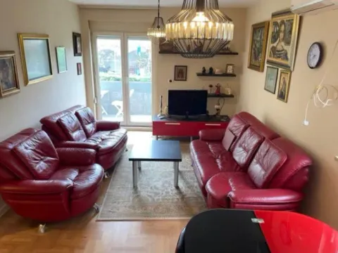 Izdavanje, jednosoban stan, 50m², Stari Aerodrom, Podgorica - image 8