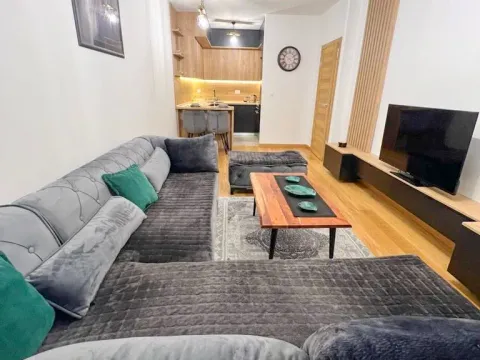 Izdavanje, jednosoban stan, 47m², New City, Podgorica - image 2