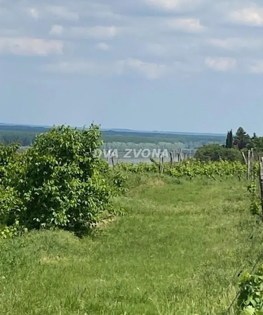 Prodaja, ugostiteljski objekat, 40m², Novi Slankamen, Inđija