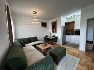Rent, one bedroom apartment, 40m², Zabjelo, Podgorica - image 4