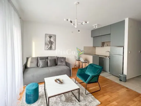 Izdavanje, garsonjera, 31m², Ljubović, Podgorica - image 4