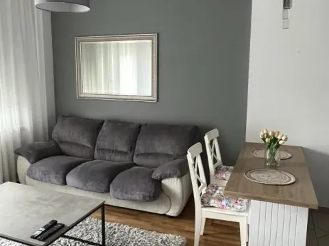 Izdavanje, jednosoban stan, 43m², Bulevar Oslobodjenja, Novi Sad Sve Podlokacije - image 2
