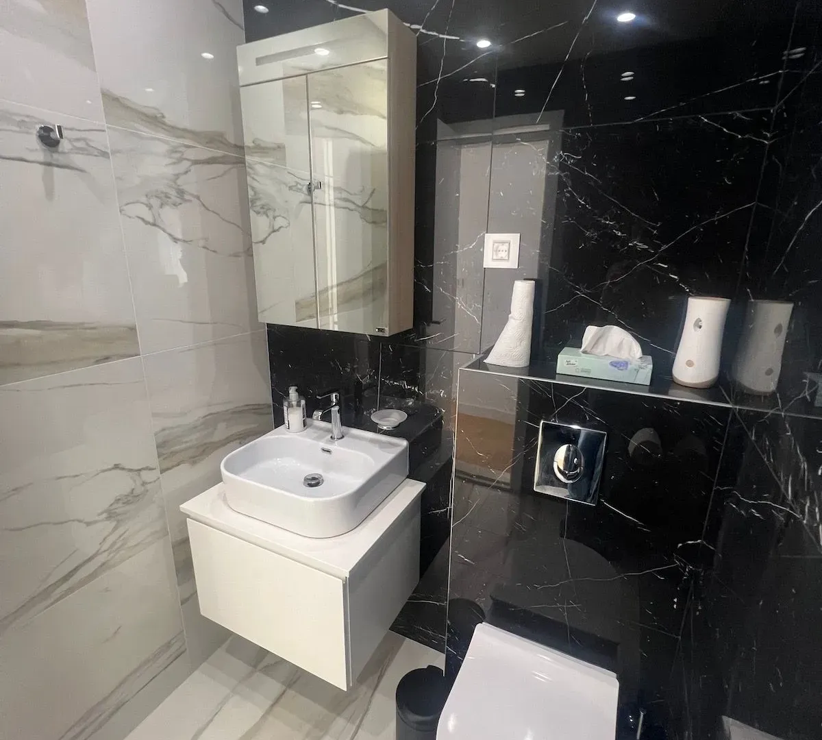 Rent, four bedroom apartment, 237m², Vračar Hram, Vračar Sve Podlokacije