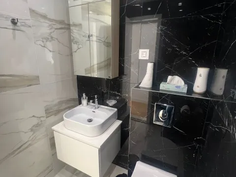 Izdavanje, četvorosoban stan, 237m², Vračar Hram, Vračar Sve Podlokacije - image 7