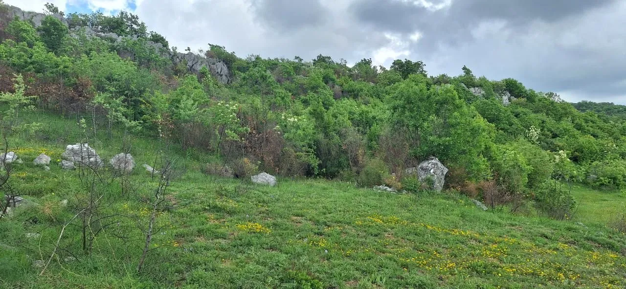 Prodaja, plac, 12650m², Gorica C, Podgorica