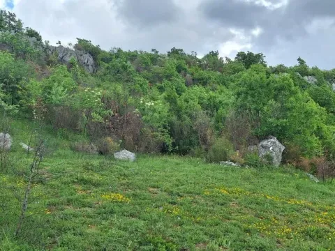 Prodaja, plac, 12650m², Gorica C, Podgorica - image 8