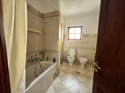 Izdavanje, kuća, 450m², Bulevar Evrope, Novi Sad Sve Podlokacije - image 14