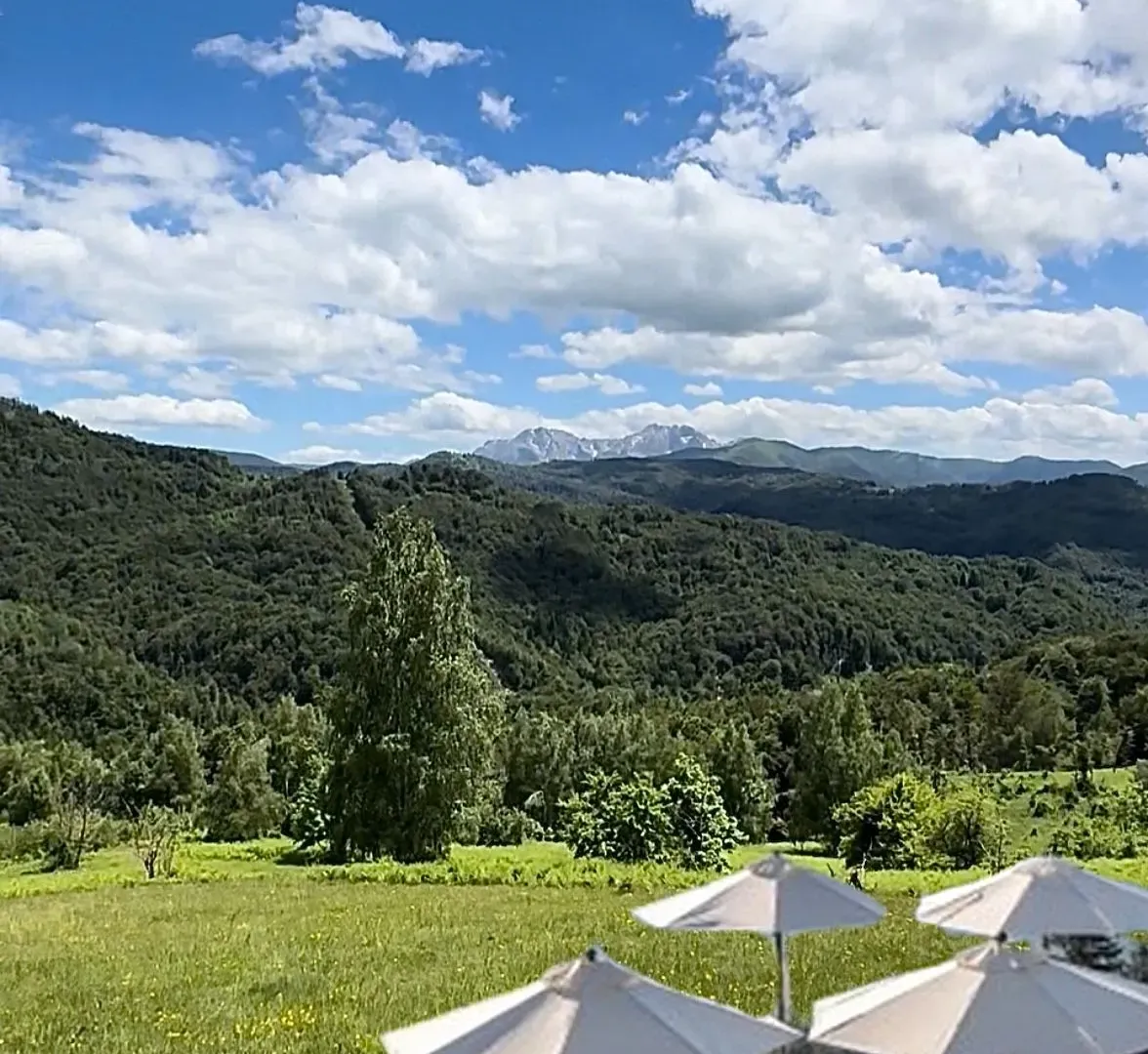 Sale, land lot, 83000m², Izlasci, Kolašin