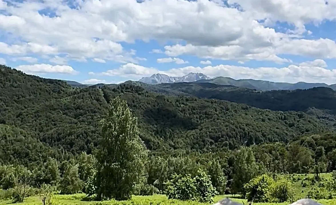 Prodaja, plac, 83000m², Izlasci, Kolašin