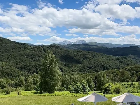 Sale, land lot, 83000m², Izlasci, Kolašin - image 1