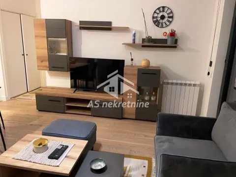 Izdavanje, dvosoban stan, 50m², Savski Venac, Beograd - image 3