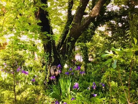 Sale, house, 260m², Zagrađe, Bar - image 7