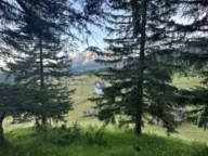 Prodaja, plac, 1330m², Žabljak, Crna Gora - image 4