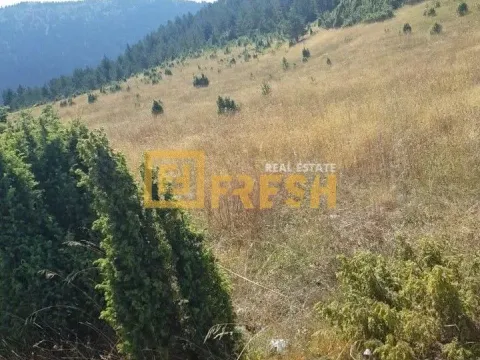 Prodaja, plac, 28450m², Žabljak, Crna Gora - image 3