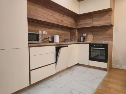 Izdavanje, jednosoban stan, 57m², Central Point, Podgorica - image 10