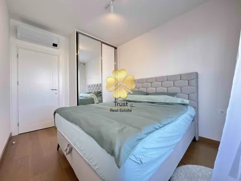 Izdavanje, jednosoban stan, 50m², Tološka šuma, Podgorica - image 11