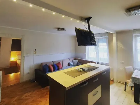 Izdavanje, dvosoban stan, 45m², Centar, Novi Sad - image 3