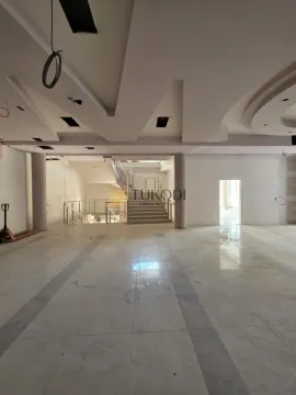 Rent, office space, 4597m², Šangaj, Novi Sad Sve Podlokacije - image 23