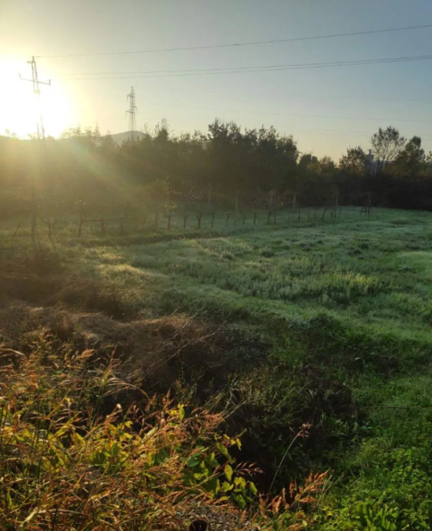 Prodaja, kuća, 82m², Lješanska Nahija, Podgorica