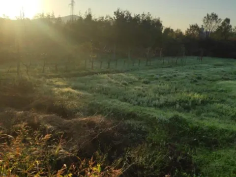 Prodaja, kuća, 82m², Lješanska Nahija, Podgorica - image 5