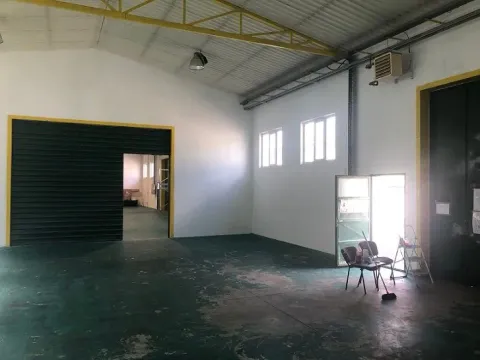 Izdavanje, poslovni prostor, 280m², Zemun Sve Podlokacije, Beograd - image 6