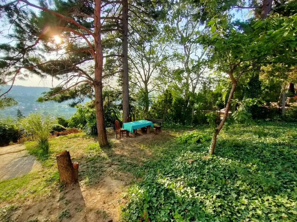 Prodaja, kuća, 240m², Sremska Kamenica, Petrovaradin