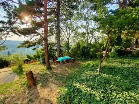 Prodaja, kuća, 240m², Sremska Kamenica, Petrovaradin - image 25