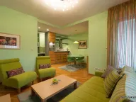 Izdavanje, dvosoban stan, 51m², Arena, Novi Beograd Sve Podlokacije - image 1