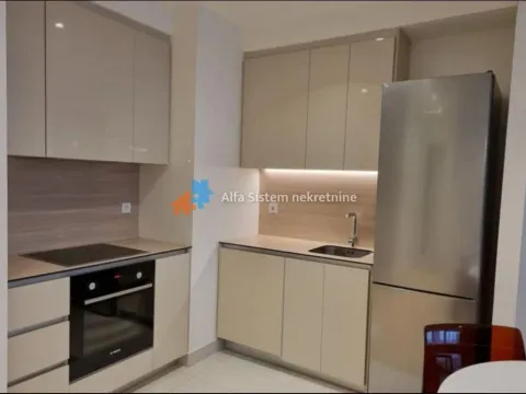 Izdavanje, dvosoban stan, 55m², Savski Venac, Beograd - image 10