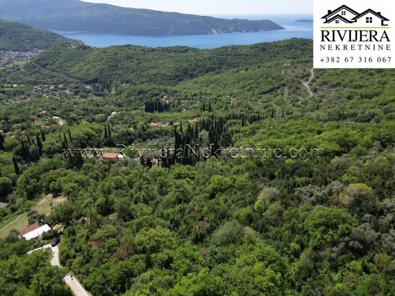 Prodaja, plac, 13123m², Sasovići, Herceg Novi