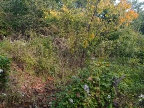 Prodaja, plac, 2700m², Cvetanova Ćuprija, Zvezdara Sve Podlokacije - image 11