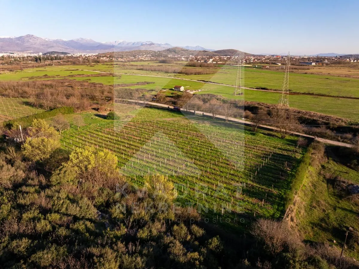 Prodaja, plac, 13000m², Beri, Podgorica