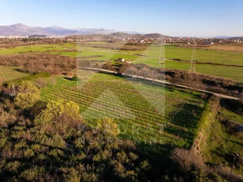 Sale, land lot, 13000m², Beri, Podgorica - image 11