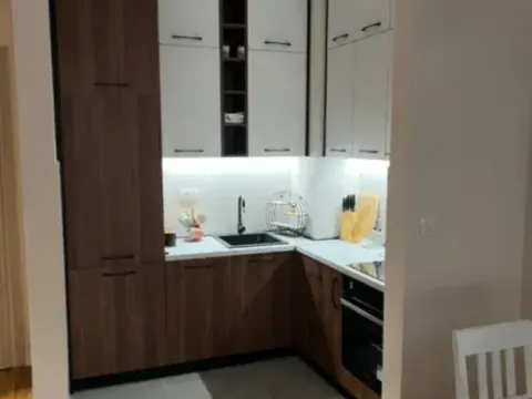 Izdavanje, jednosoban stan, 42m², Central Point, Podgorica