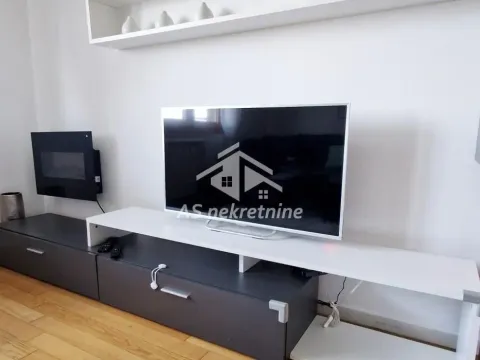 Izdavanje, dvosoban stan, 55m², Novi Beograd Blok 67, Novi Beograd Sve Podlokacije - image 2