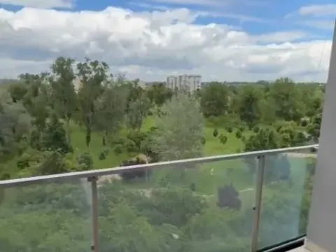 Izdavanje, poslovni prostor, 133m², Liman 3, Novi Sad Sve Podlokacije - image 4