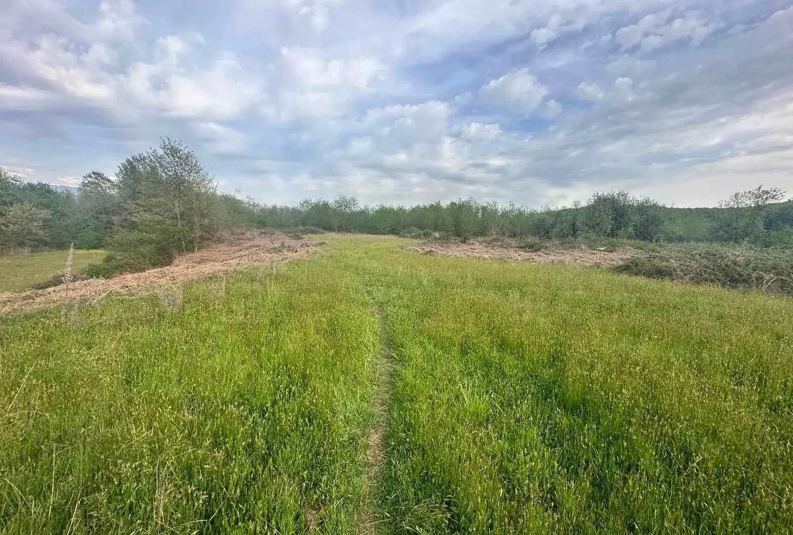 Prodaja, plac, 10860m², Orja Luka, Danilovgrad
