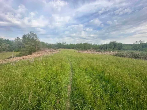 Prodaja, plac, 10860m², Orja Luka, Danilovgrad - image 7