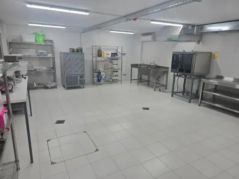 Izdavanje, poslovni prostor, 250m², Lastva Grbaljska, Kotor - image 4