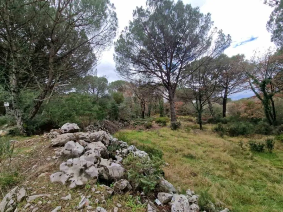 Prodaja,  zemljište, 1150m2, Zagora, Kotor