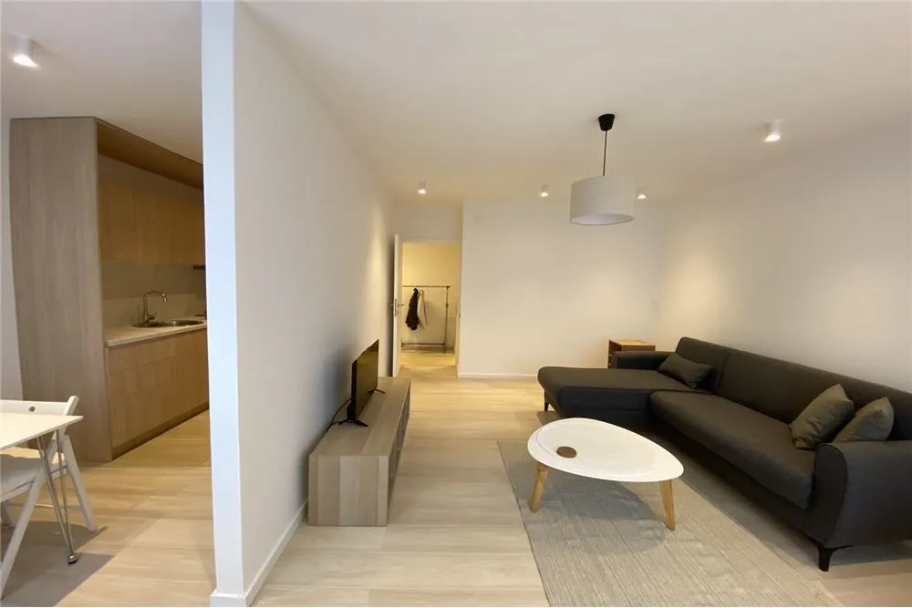 Izdavanje, jednosoban stan, 50m², Niš, Srbija