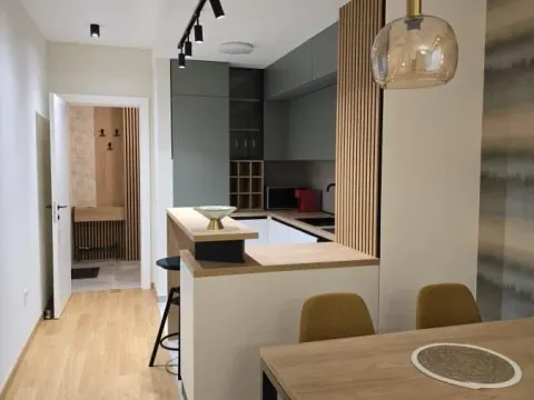 Rent, two bedroom apartment, 54m², Hadzipopovac, Palilula Sve Podlokacije - image 3