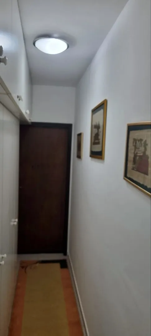 Izdavanje, jednosoban stan, 50m², Dobrota, Kotor
