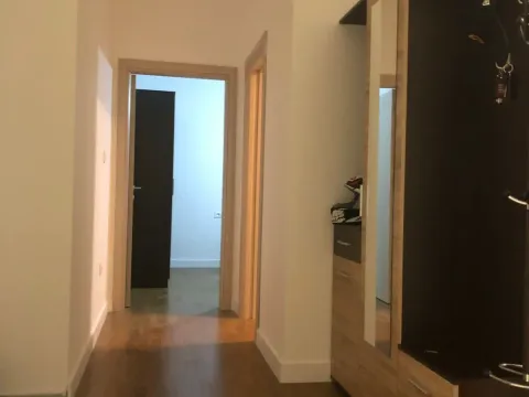 Izdavanje, jednosoban stan, 48m², Zabjelo, Podgorica - image 14