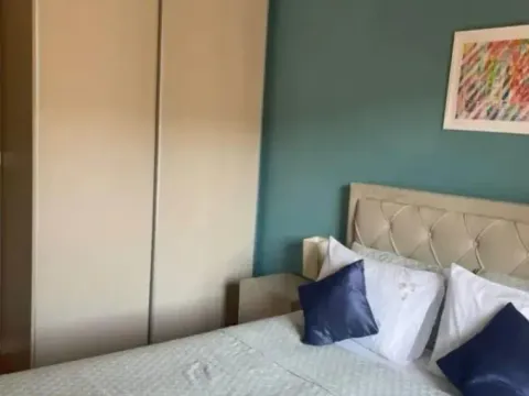 Izdavanje, jednosoban stan, 50m², Central Point, Podgorica - image 10