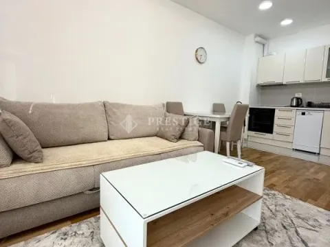 Izdavanje, jednosoban stan, 40m², Zabjelo, Podgorica - image 3