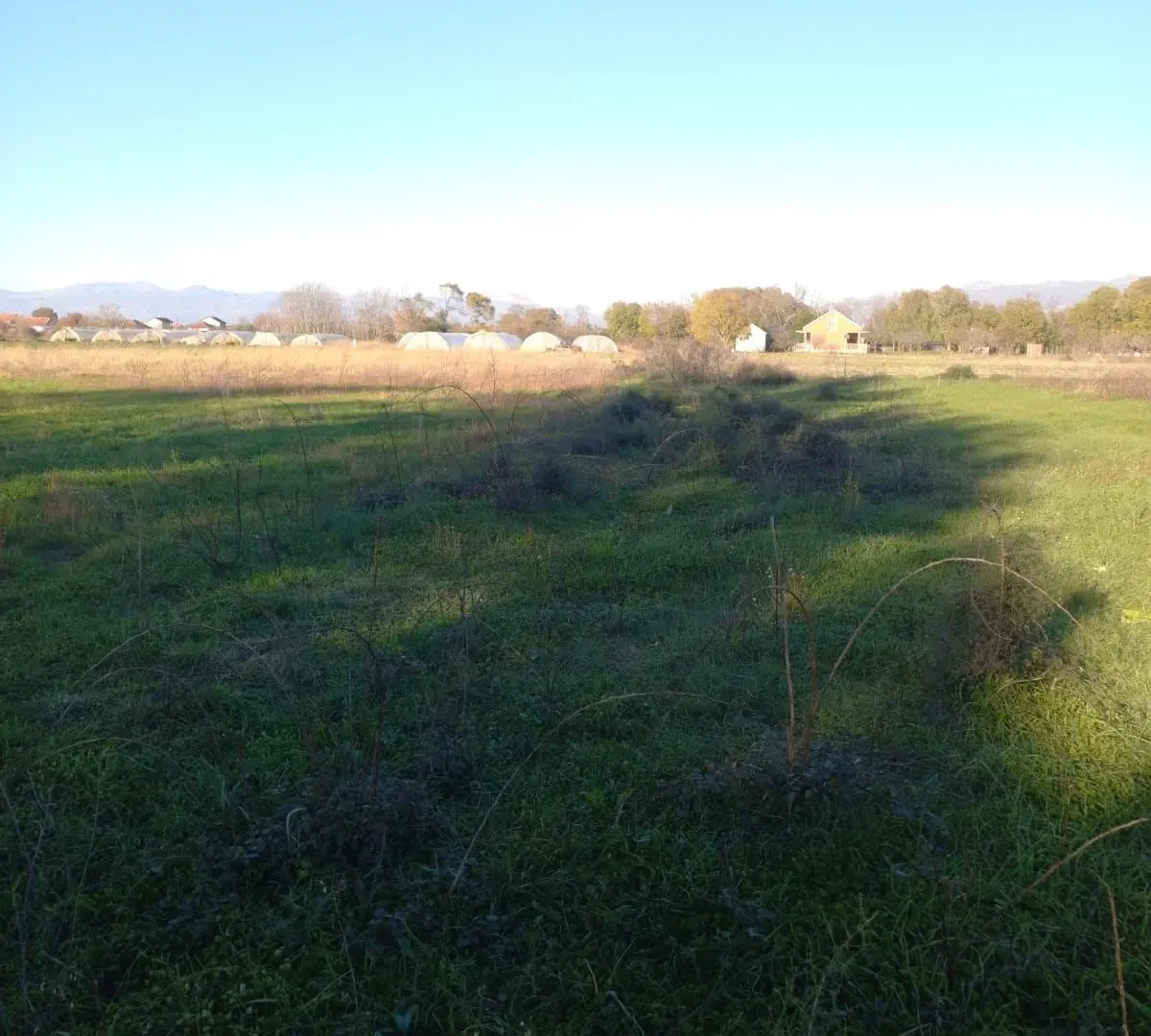 Prodaja, plac, 5000m², Mataguži, Podgorica