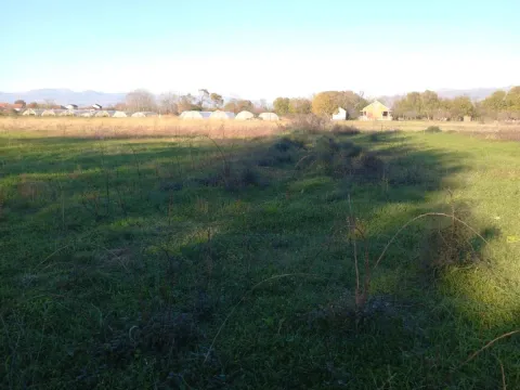 Prodaja, plac, 5000m², Mataguži, Podgorica - image 2